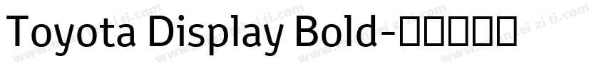 Toyota Display Bold字体转换